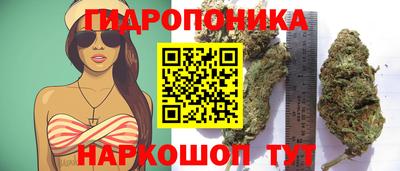 наркотики Краснознаменск