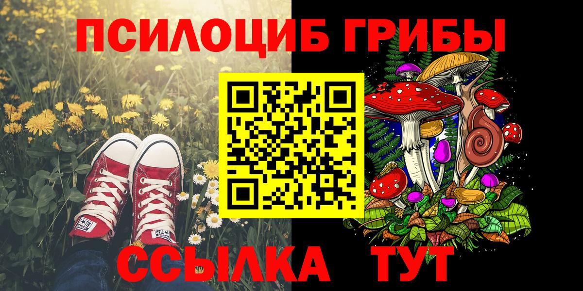 Псилоцибиновые грибы Magic Shrooms  Псилоцибиновые грибы Psilocybine cubensis  Вход с VPN  Кизилюрт 