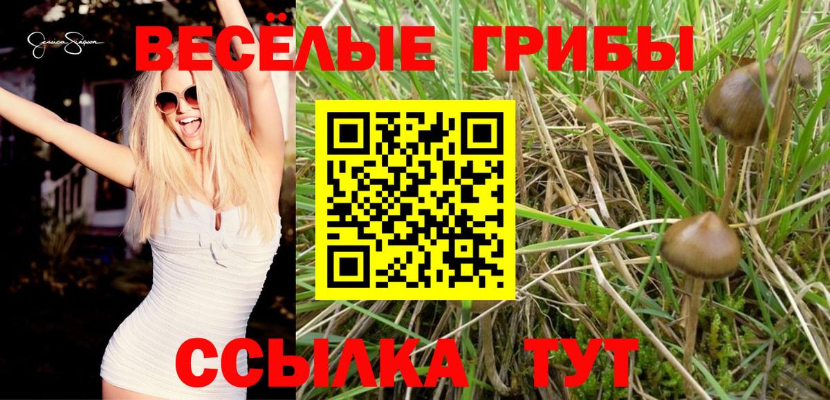 Псилоцибиновые грибы Magic Shrooms Кизилюрт